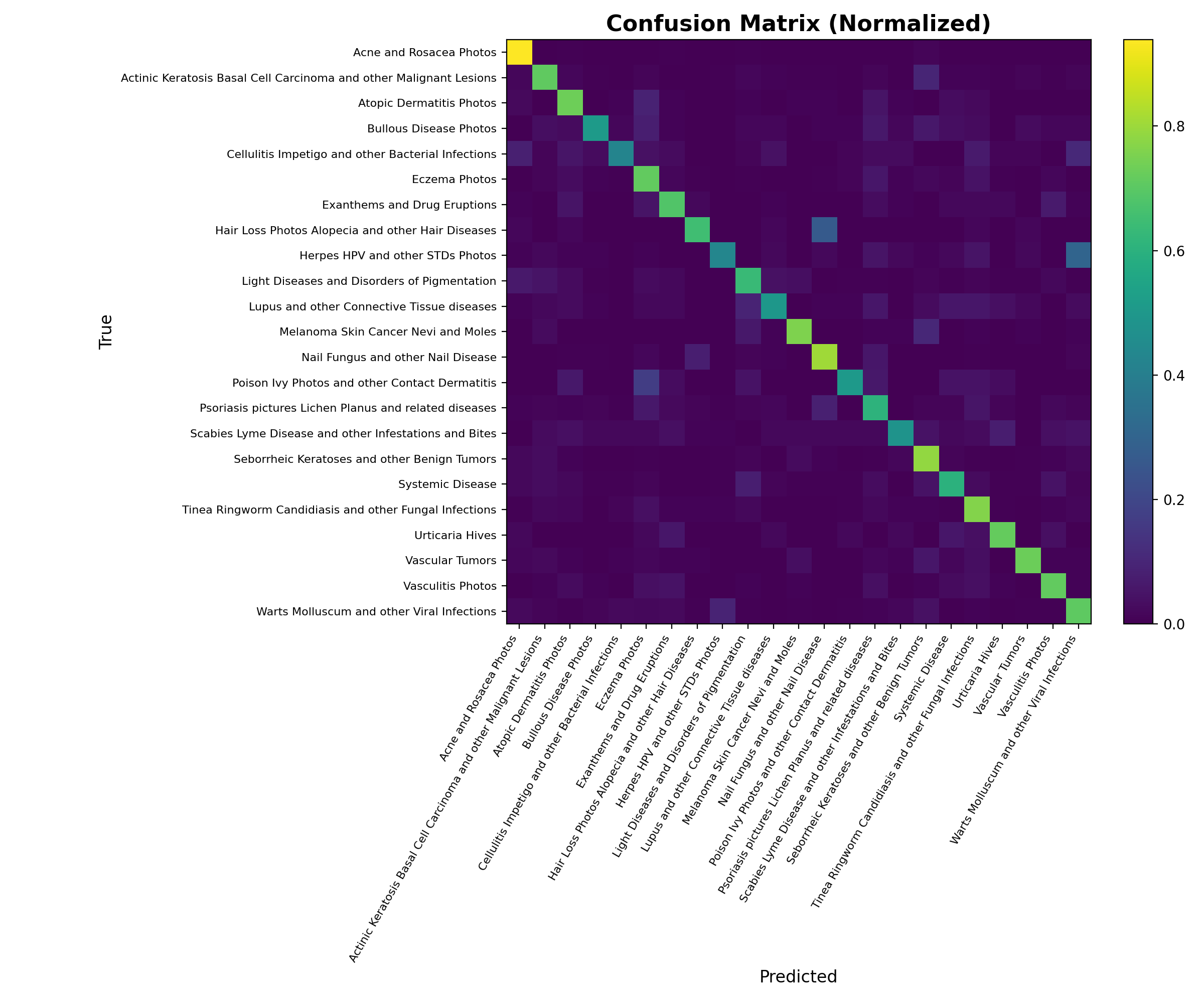 Confusion matrix